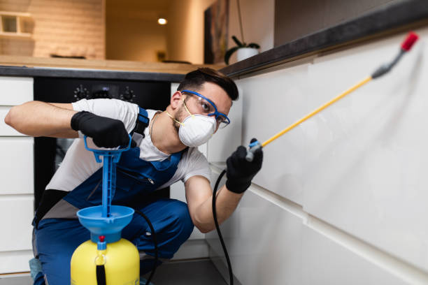 Pest Prevention Services in Vaiden, MS