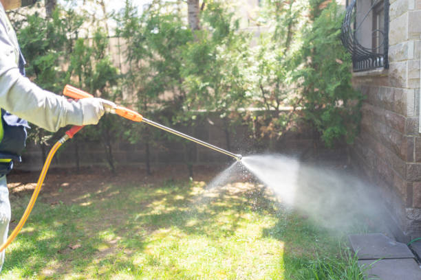 Best Pest Prevention Services  in Vaiden, MS