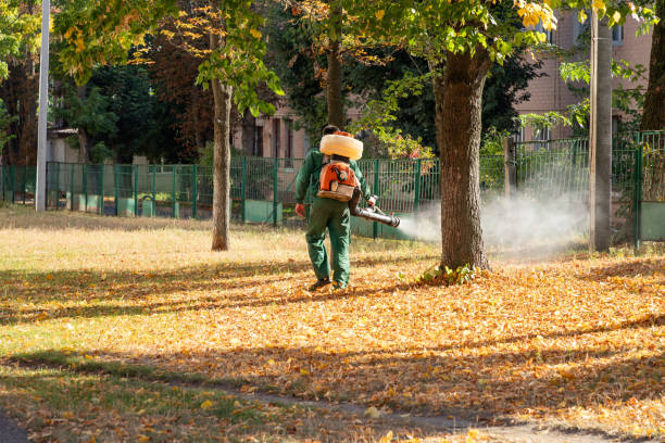 Best Exterminator Services  in Vaiden, MS