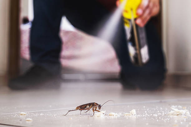 Best Bed Bug Extermination  in Vaiden, MS