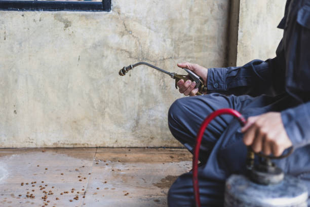 Best Mosquito Control Services  in Vaiden, MS