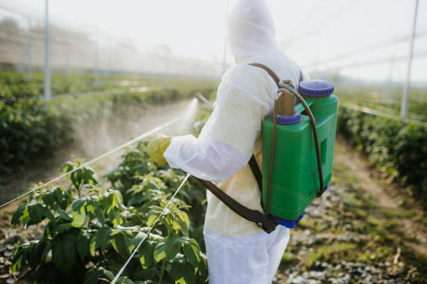 Pest Control Cost in Vaiden, MS